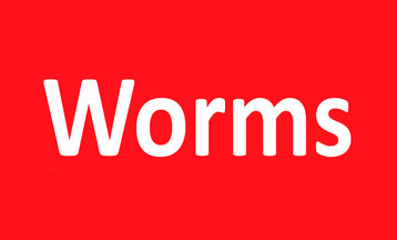 Sicherheitsdienst Worms - Objektschutz